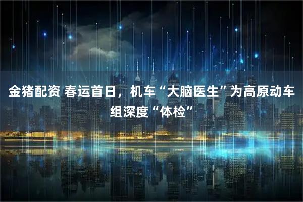 金猪配资 春运首日,机车“大脑医生”为高原动车组深度“体检”